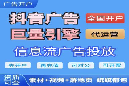 SEM代运营经典案例解析与启示